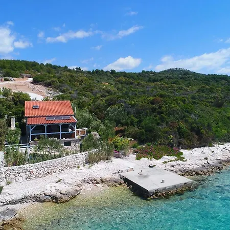 House Starfish *