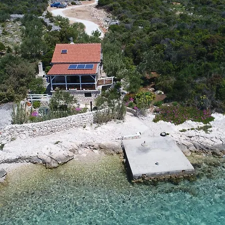 House Starfish *